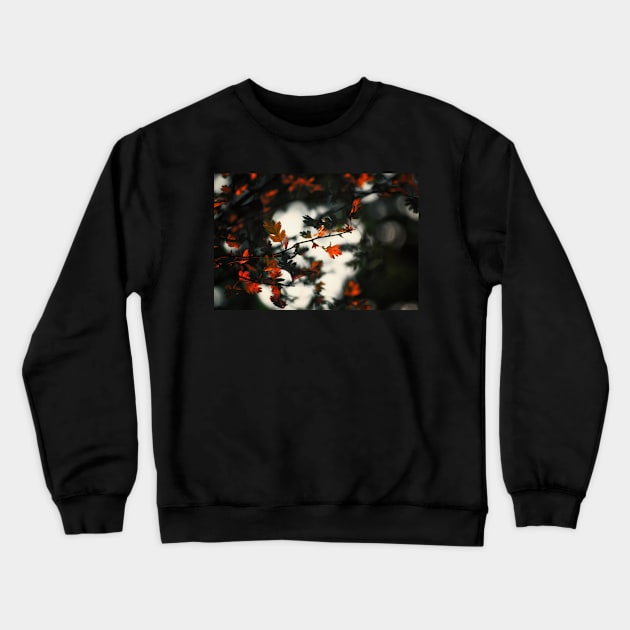 Through the Fire Crewneck Sweatshirt by InspiraImage